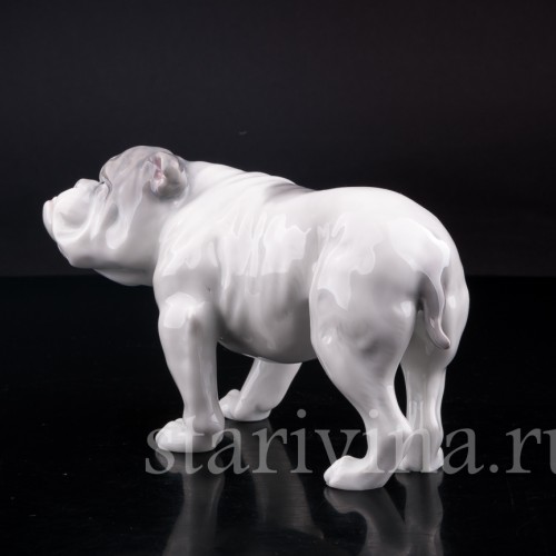 Фигурка собаки из фарфора Английский бульдог, Heubach, Германия, нач. 20 в.