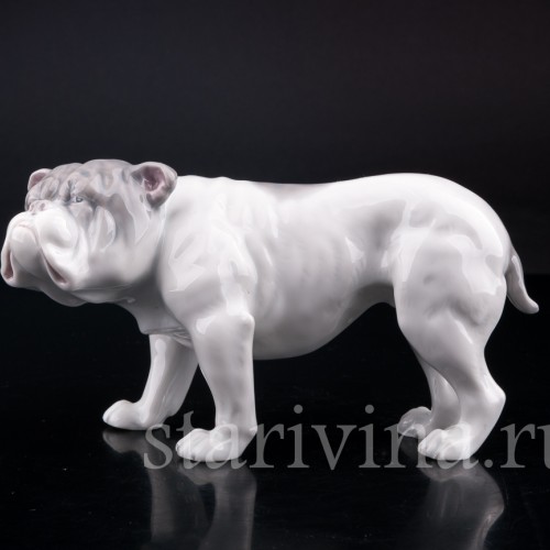 Фигурка собаки из фарфора Английский бульдог, Heubach, Германия, нач. 20 в.