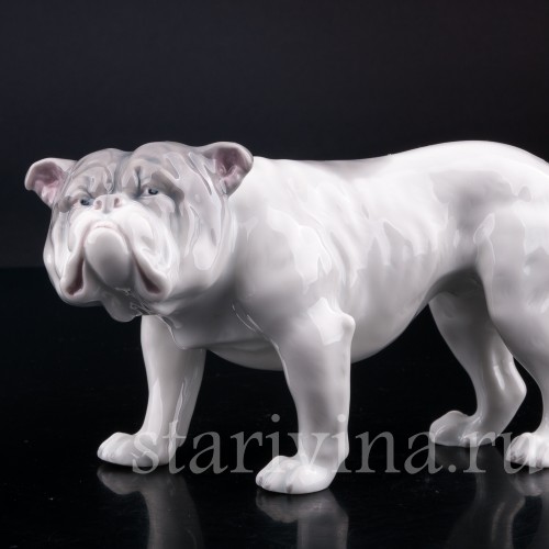 Фигурка собаки из фарфора Английский бульдог, Heubach, Германия, нач. 20 в.