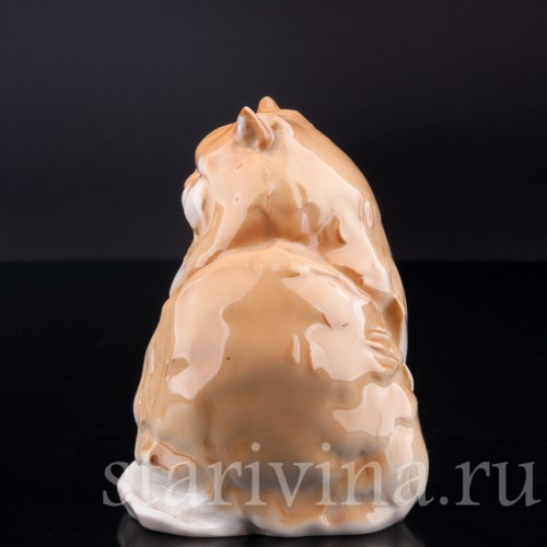 Персидский кот, Hutschenreuther, Германия, 1970 гг.