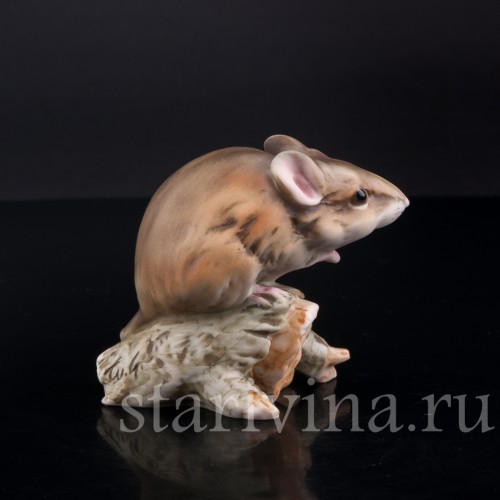 Мышь, Alka Kaiser, Германия