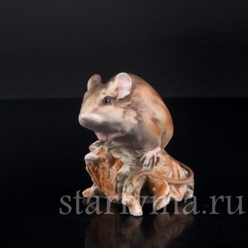 Мышь, Alka Kaiser, Германия