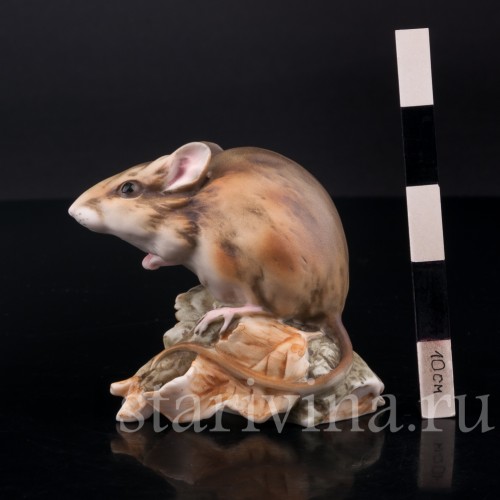 Мышь, Alka Kaiser, Германия