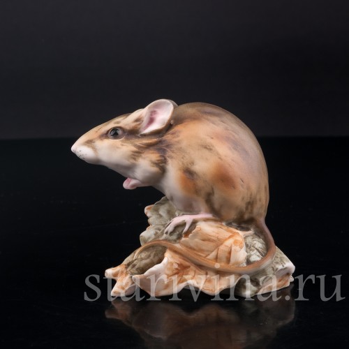 Мышь, Alka Kaiser, Германия