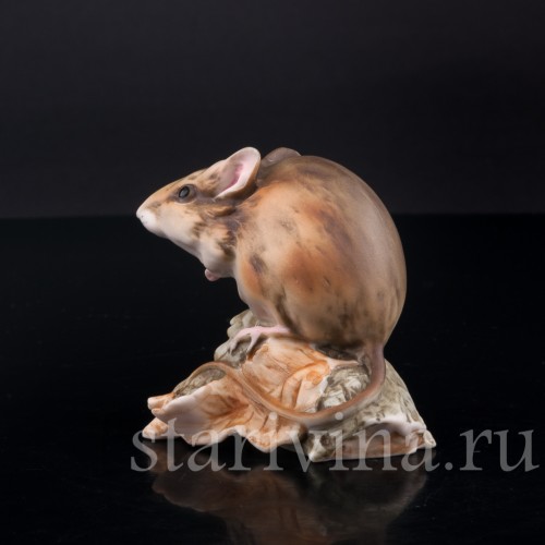 Мышь, Alka Kaiser, Германия