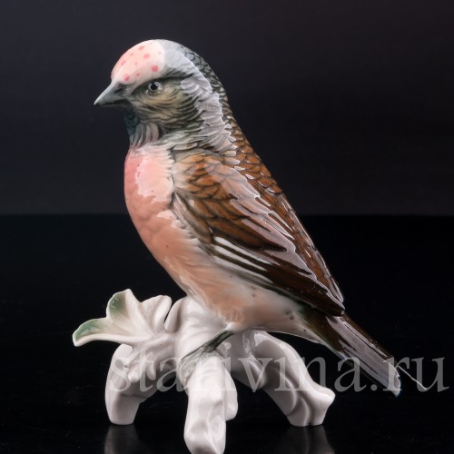 Чечётка, Karl Ens, Германия, сер. 20 века.