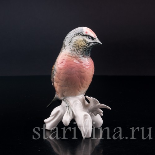 Чечётка, Karl Ens, Германия, сер. 20 века.