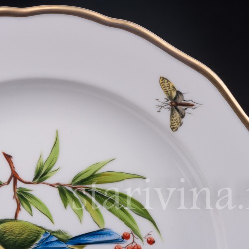 Тарелка Лазоревки, Meissen, Германия, вт. пол. 20 в