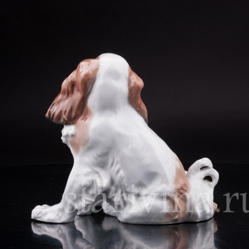 Статуэтка собаки Японский хин, Karl Ens, Германия, 1920-30 гг.