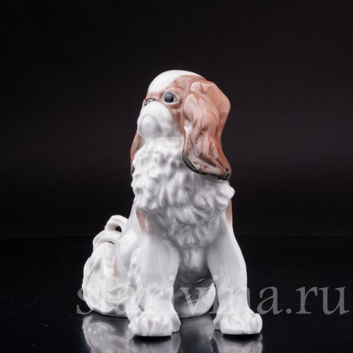 Статуэтка собаки Японский хин, Karl Ens, Германия, 1920-30 гг.