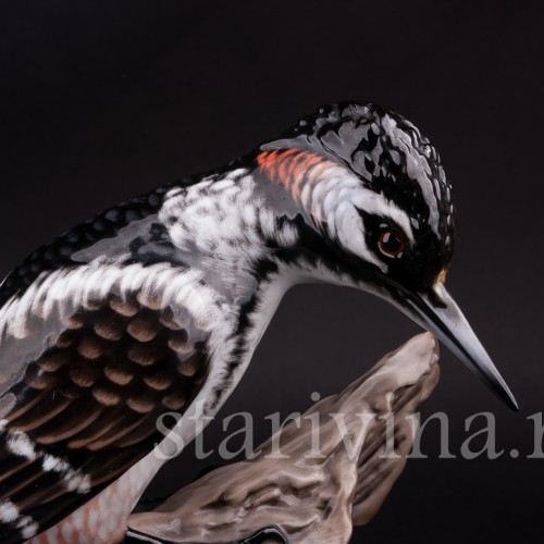 Фарфоровая статуэтка птицы Пестрый дятел на пне, Rosenthal, Германия, 1960 гг.