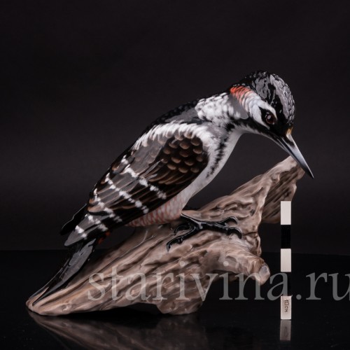 Фарфоровая статуэтка птицы Пестрый дятел на пне, Rosenthal, Германия, 1960 гг.