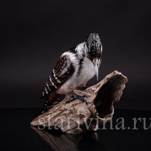 Фарфоровая статуэтка птицы Пестрый дятел на пне, Rosenthal, Германия, 1960 гг.