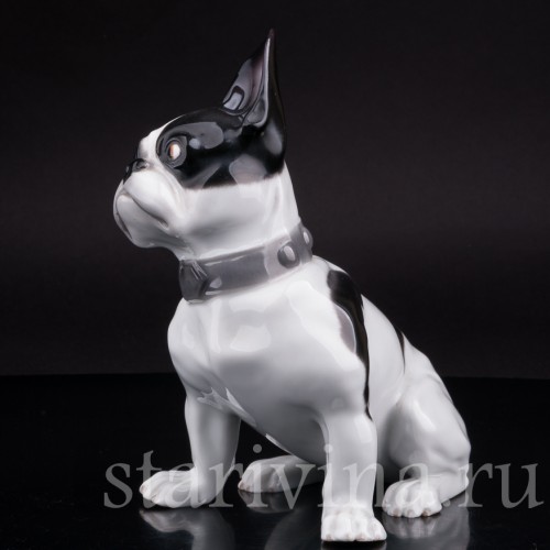 Фигурка собаки из фарфора Французский бульдог, Heubach, Германия, нач. 20 в.