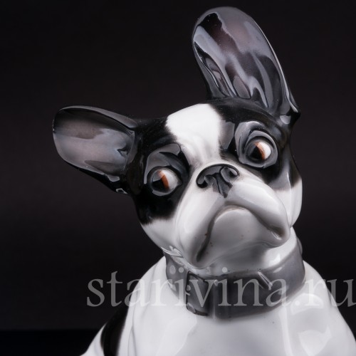 Фигурка собаки из фарфора Французский бульдог, Heubach, Германия, нач. 20 в.
