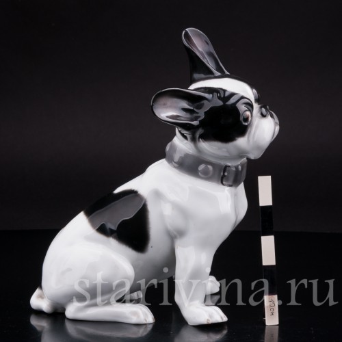 Фигурка собаки из фарфора Французский бульдог, Heubach, Германия, нач. 20 в.
