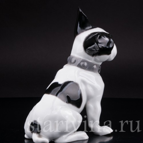 Фигурка собаки из фарфора Французский бульдог, Heubach, Германия, нач. 20 в.