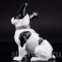 Фигурка собаки из фарфора Французский бульдог, Heubach, Германия, нач. 20 в.