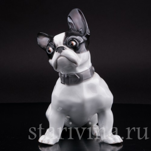 Фигурка собаки из фарфора Французский бульдог, Heubach, Германия, нач. 20 в.