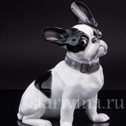 Фигурка собаки из фарфора Французский бульдог, Heubach, Германия, нач. 20 в.
