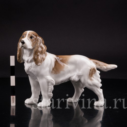 Фарфоровая статуэтка собаки Спаниель, Hutschenreuther, Германия, 1938-55 гг.