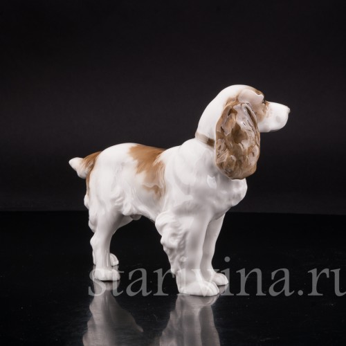 Фарфоровая статуэтка собаки Спаниель, Hutschenreuther, Германия, 1938-55 гг.