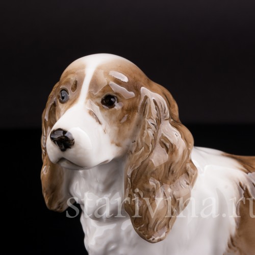 Фарфоровая статуэтка собаки Спаниель, Hutschenreuther, Германия, 1938-55 гг.