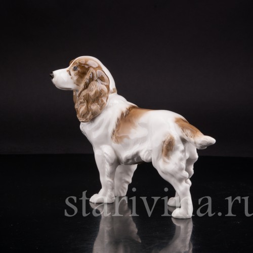 Фарфоровая статуэтка собаки Спаниель, Hutschenreuther, Германия, 1938-55 гг.