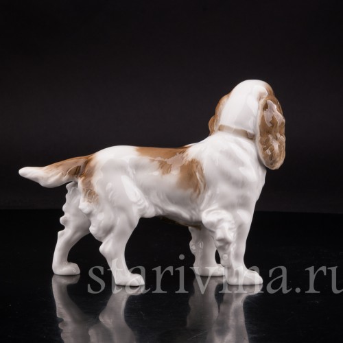 Фарфоровая статуэтка собаки Спаниель, Hutschenreuther, Германия, 1938-55 гг.