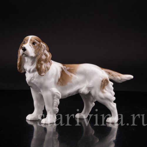 Фарфоровая статуэтка собаки Спаниель, Hutschenreuther, Германия, 1938-55 гг.