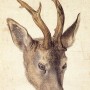 Антикварная фигурная кружка из фарфора Голова оленя, Von Schierholz, Германия, нач. 20 в.