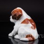 Статуэтка собаки из фарфора Щенок сенбернара, Heubach, Германия, нач. 20 века.