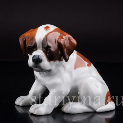 Статуэтка собаки из фарфора Щенок сенбернара, Heubach, Германия, нач. 20 века.