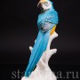 Уцененная статуэтка из фарфора Попугай Ара, Goebel, Германия, вт. пол. 20 в.
