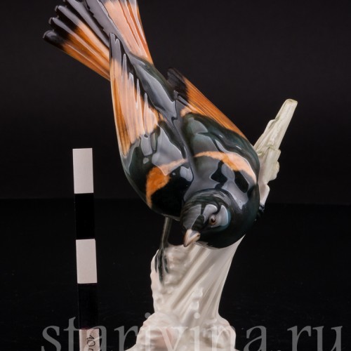 Уцененная статуэтка из фарфора Американская горихвостка, Hutschenreuther, Германия, сер. 20 века.