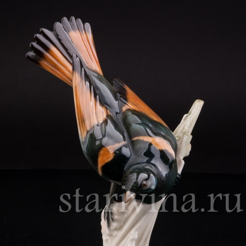 Уцененная статуэтка из фарфора Американская горихвостка, Hutschenreuther, Германия, сер. 20 века.