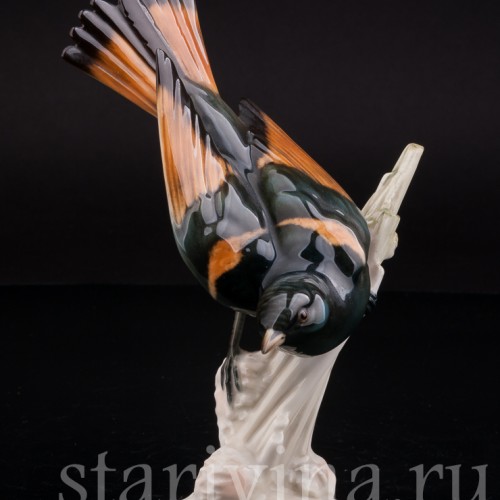 Уцененная статуэтка из фарфора Американская горихвостка, Hutschenreuther, Германия, сер. 20 века.