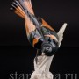 Уцененная статуэтка из фарфора Американская горихвостка, Hutschenreuther, Германия, сер. 20 века.