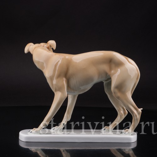 Статуэтка собаки из фарфора Левретка, Германия, нач. 20 в.