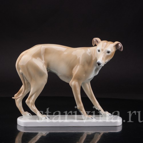Статуэтка собаки из фарфора Левретка, Германия, нач. 20 в.