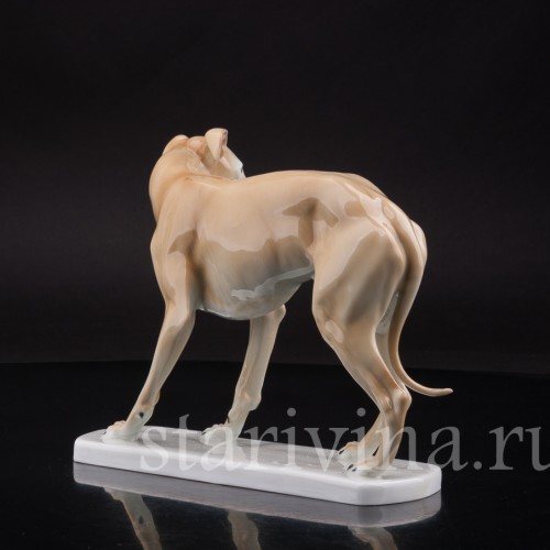 Статуэтка собаки из фарфора Левретка, Германия, нач. 20 в.