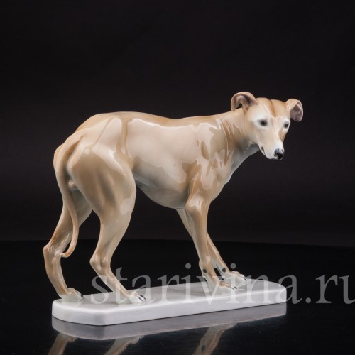 Статуэтка собаки из фарфора Левретка, Германия, нач. 20 в.