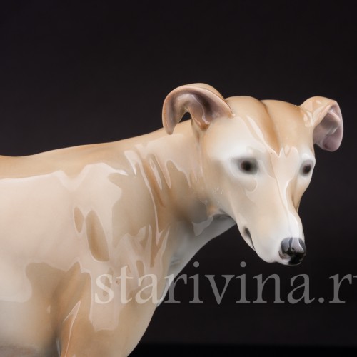 Статуэтка собаки из фарфора Левретка, Германия, нач. 20 в.