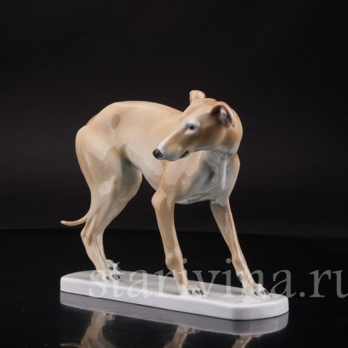 Статуэтка собаки из фарфора Левретка, Германия, нач. 20 в.
