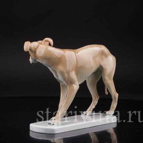 Статуэтка собаки из фарфора Левретка, Германия, нач. 20 в.