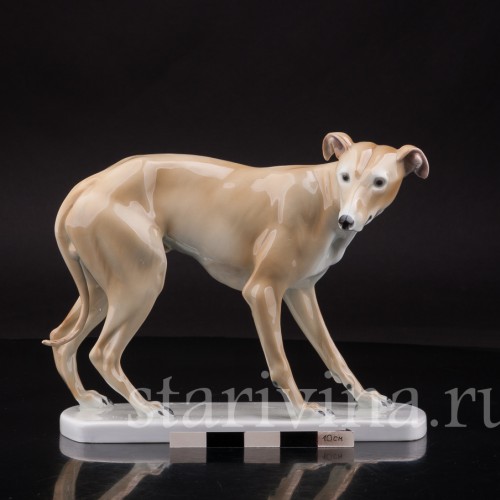 Статуэтка собаки из фарфора Левретка, Германия, нач. 20 в.