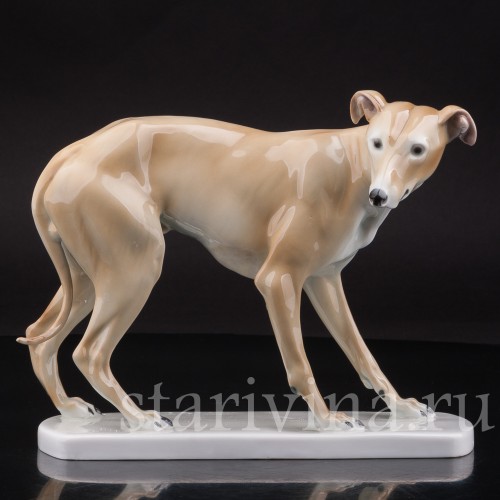 Статуэтка собаки из фарфора Левретка, Германия, нач. 20 в.