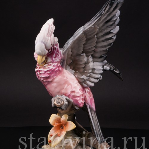 Статуэтка попугая из фарфора Какаду на орхидее, Hutschenreuther, Германия, 1970 г.