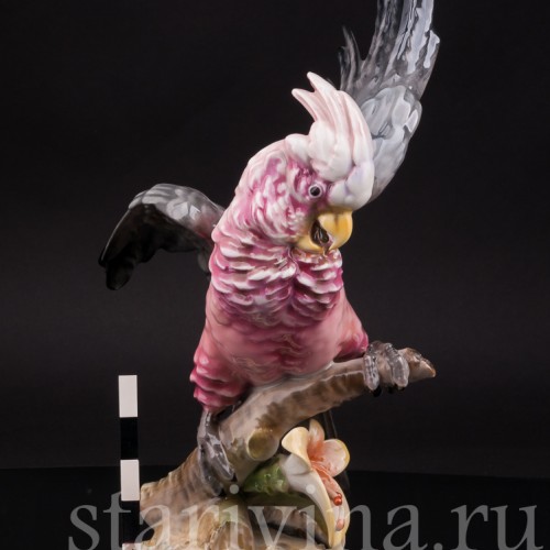 Статуэтка попугая из фарфора Какаду на орхидее, Hutschenreuther, Германия, 1970 г.