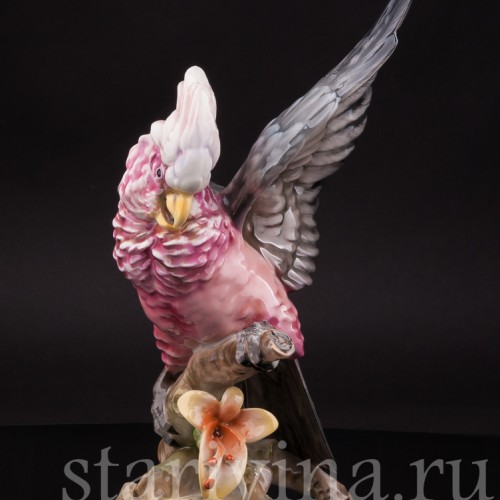 Статуэтка попугая из фарфора Какаду на орхидее, Hutschenreuther, Германия, 1970 г.